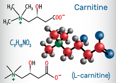 Carnitine (L-carnitine) molecule. Structural chemical formula and molecule model. Vector illustration