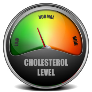 more about cholesterol