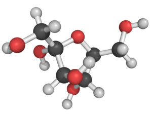 high fructose corn syrup