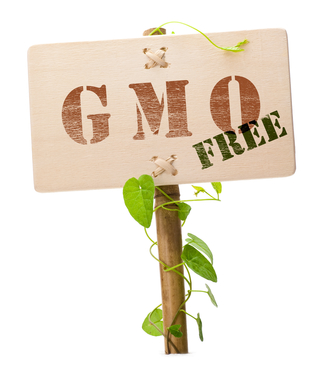 gmo free food