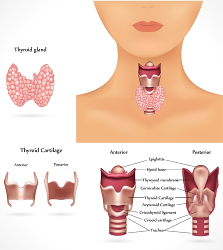 graves disease