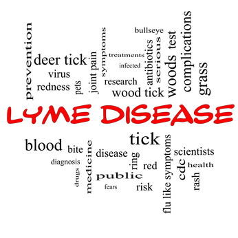 lyme disease