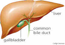 gallbladder formula