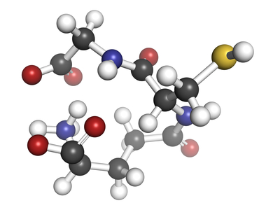 master anti-oxidant