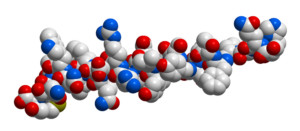 hormones