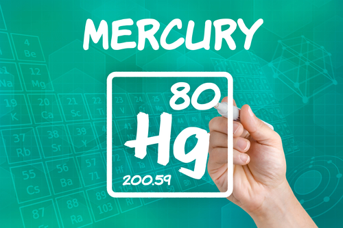 Methyl Mercury