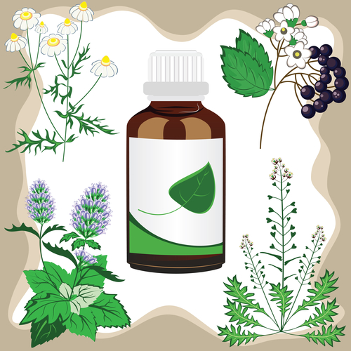 herbal medicine