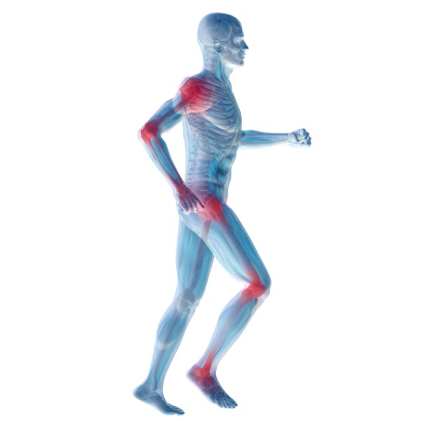 Joint and Muscle Therapy Cream MCVitamins