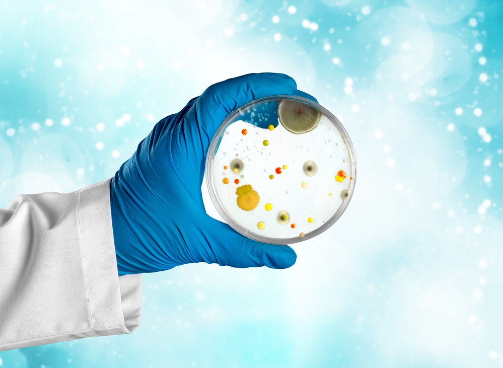 Simple Mold Testing Microbalance Mold Testing Kit MCVitamins