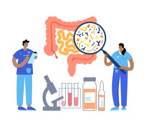 gut brain connection